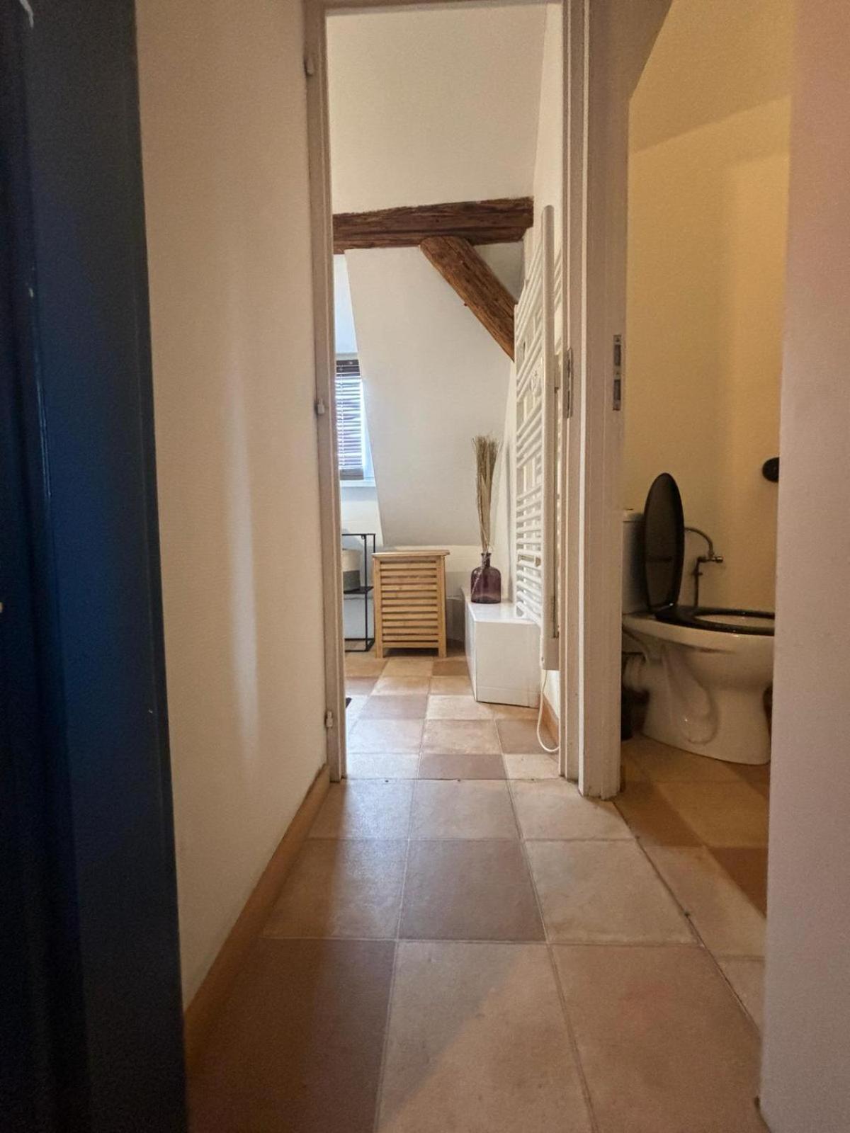Charmant Appartement Proche Strasbourg A Eckwersheim Εξωτερικό φωτογραφία
